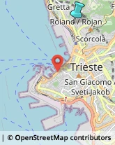 Sartorie,34135Trieste