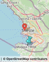 Porti e Servizi Portuali,34015Trieste