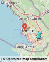 Corrieri,34147Trieste