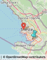 Corrieri,34147Trieste