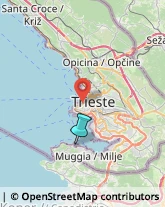 Porti e Servizi Portuali,34015Trieste