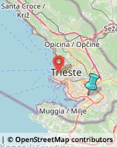 Corrieri,34147Trieste