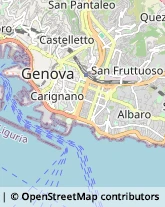 Chiropratica,16121Genova