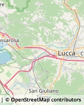 Via S. Nicolao, 65,55100Lucca