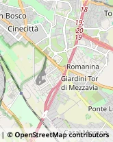 Via Vittorio Metz, 41,00173Roma