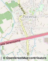 Via Roma, 92,30050Pocenia