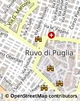 Corso Antonio Gramsci, 42,70037Ruvo di Puglia