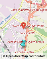 Consulenza Informatica,57121Livorno