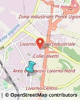 Consulenza Informatica,57121Livorno