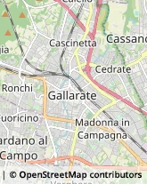 Via Michelangelo Buonarroti, 17,21013Gallarate