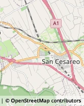 Via Maremmana Terza, 15,00030San Cesareo