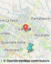 Agenzie di Animazione e Spettacolo,04100Latina