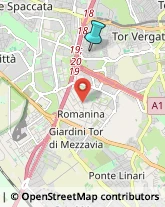 Autofficine e Centri Assistenza,00133Roma