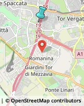 Autofficine e Centri Assistenza,00169Roma