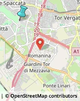 Autofficine e Centri Assistenza,00173Roma