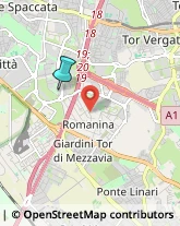 Autofficine e Centri Assistenza,00173Roma