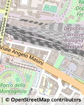 Viale Angelo Masini, 14,40126Bologna