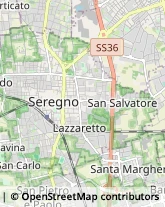 Salotti,20831Monza e Brianza