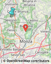 Chiropratica,20831Monza e Brianza