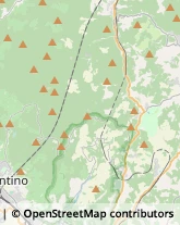 Stazioni di Servizio e Distribuzione Carburanti,50036Firenze