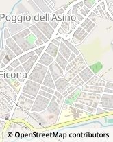 Via della Lega, 61,00052Cerveteri