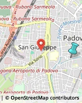 Sciarpe, Foulards e Cravatte,35122Padova