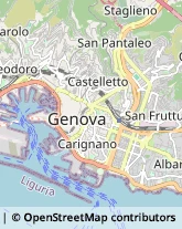 Via Giovanni Tomaso Invrea, 9,16129Genova