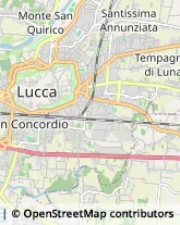 Autotrasporti,55013Lucca