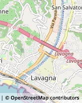 Via Piacenza, 382,16043Chiavari