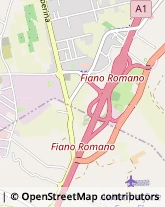 Via Milano, 19,00065Fiano Romano