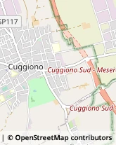 Via Papa Urbano Crivelli, 20,20012Cuggiono