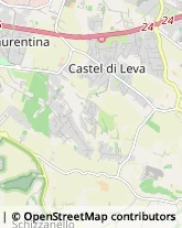 Via di Castel di Leva, 305,00134Roma