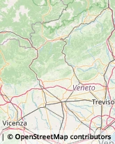 Articoli per Ortopedia,36028Vicenza