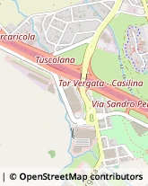 Viale Luigi Schiavonetti, 294,00173Roma