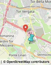 Campeggi, Villaggi Turistici e Ostelli,00173Roma