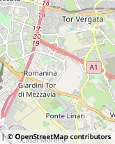 Viale Antonio Ciamarra, 45/47,00173Roma