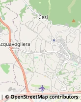 Autotrasporti,05100Terni