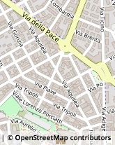 Viale Europa, 29/A/B,58100Grosseto