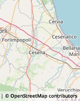 Viale Roma, 71/C,47042Cesenatico