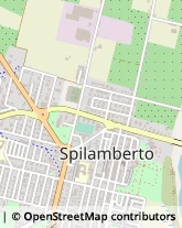 Via S. Fabriani, 25,41057Spilamberto