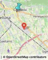 Autofficine e Centri Assistenza,31044Treviso