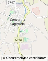 Via Falconera, 26,30023Concordia Sagittaria