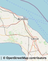 Aziende Sanitarie Locali (ASL),72023Brindisi