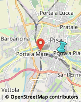 Trasporto Pubblico,56125Pisa