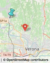 Associazioni e Federazioni Sportive,37024Verona