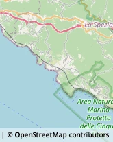 Imprese Edili,19014La Spezia