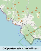 Imprese Edili,19011La Spezia