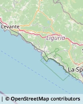 Imprese Edili,19018La Spezia