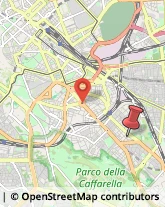 Via Manlio Torquato, 21,00181Roma