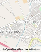 Via Fratelli Giuseppe e Mariano Soprani, 45,00052Cerveteri